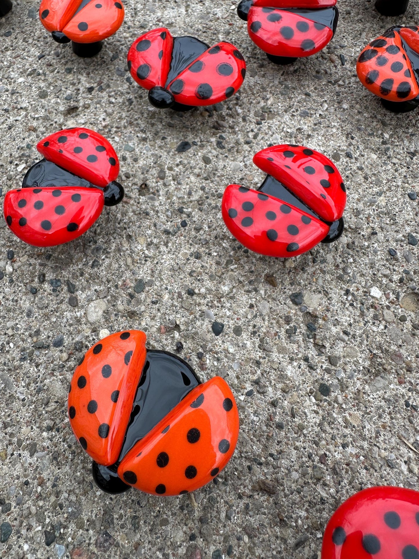 Red Ladybug Knob