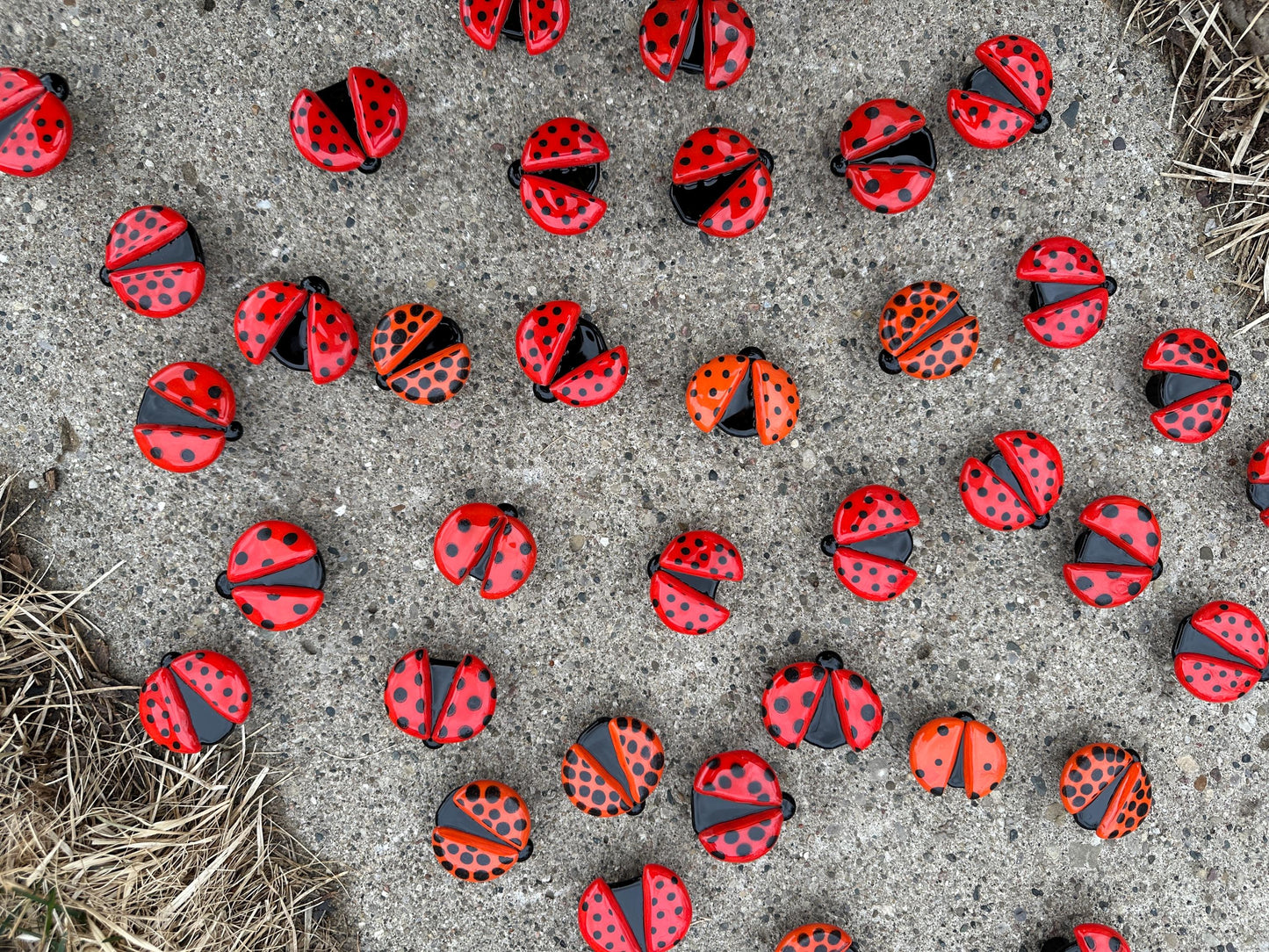Red Ladybug Knob