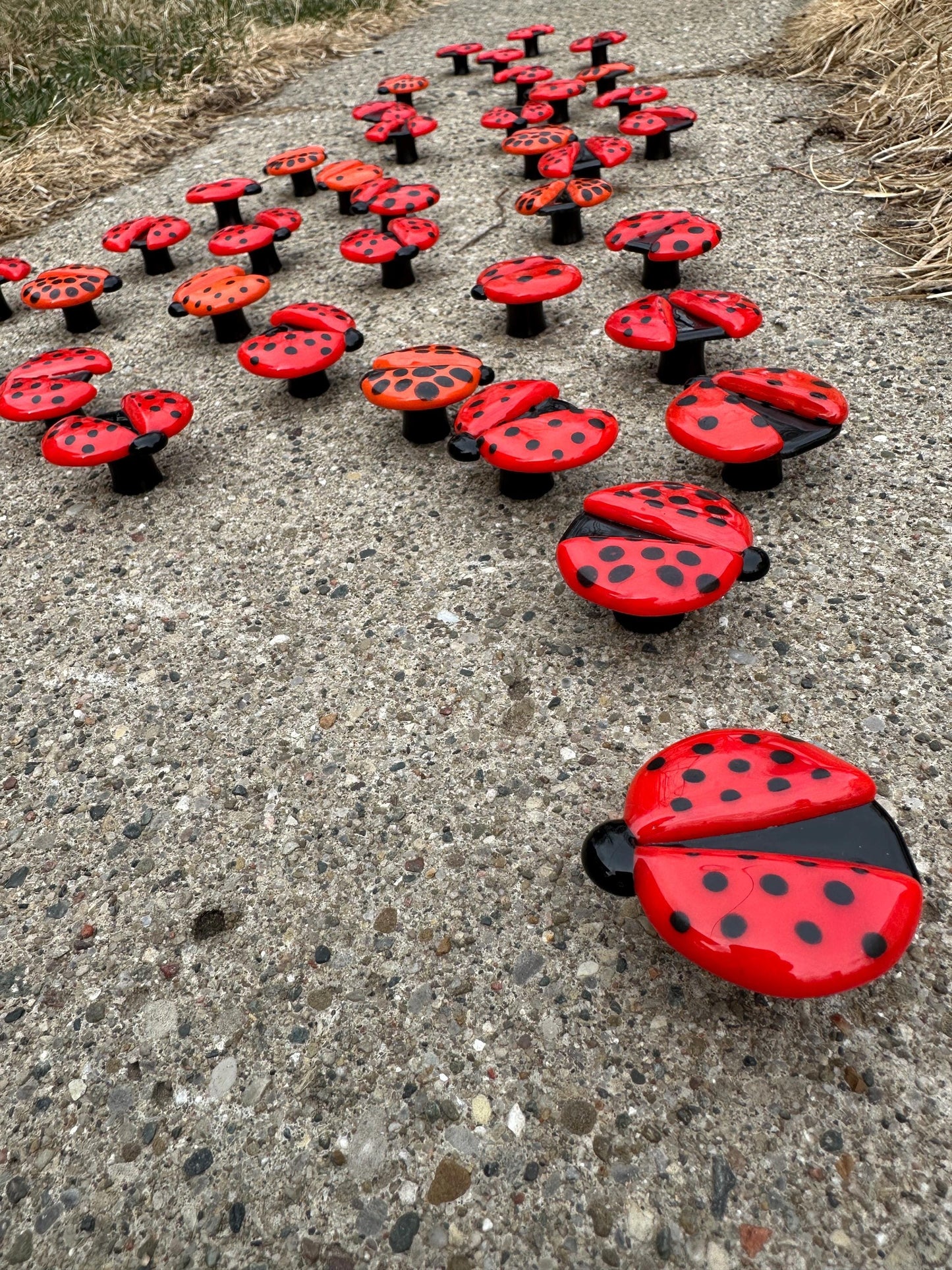 Red Ladybug Knob