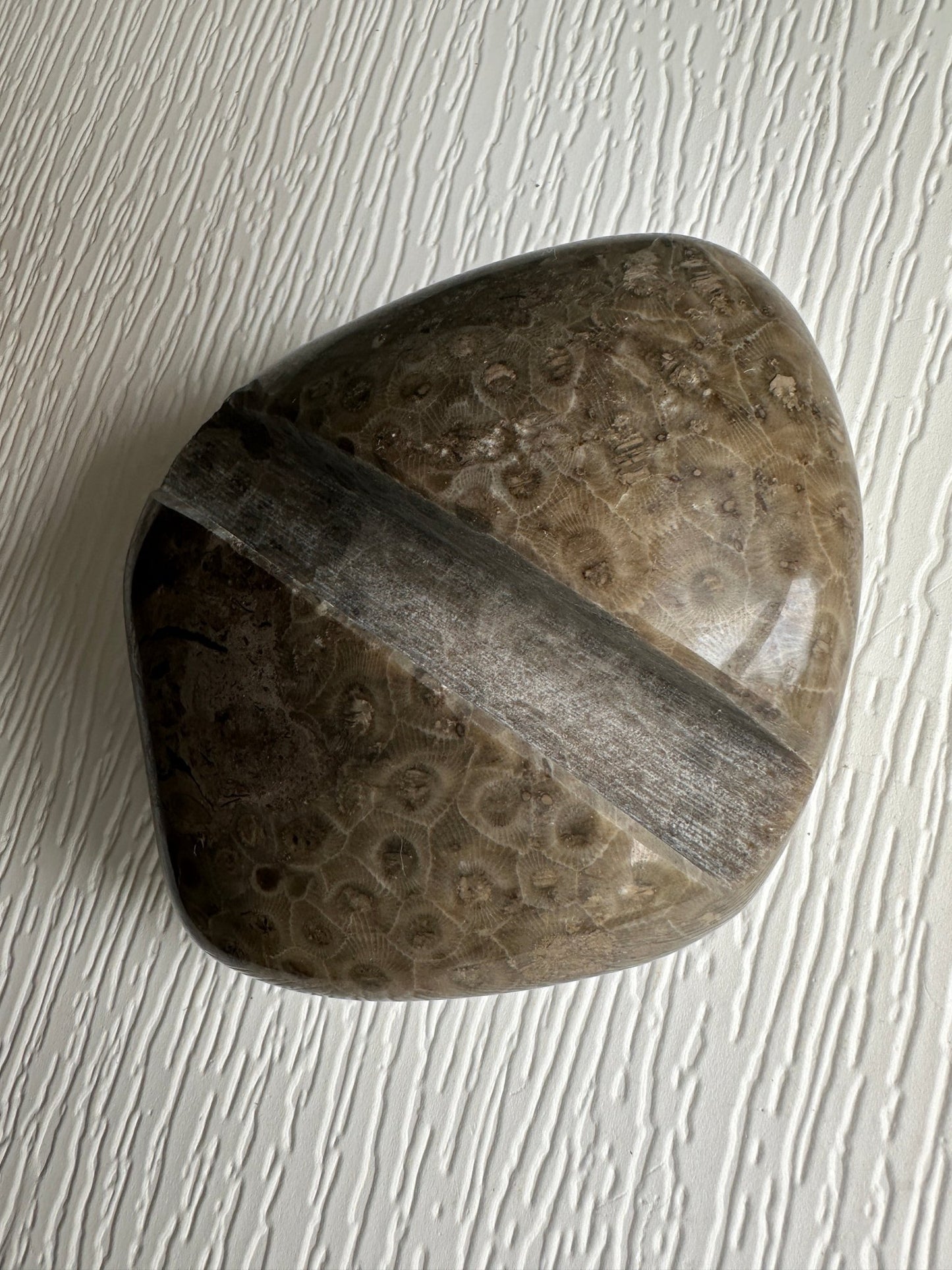 Petoskey Stone - Michigan Natural Stone Phone Holder - Ann Ivory Studios