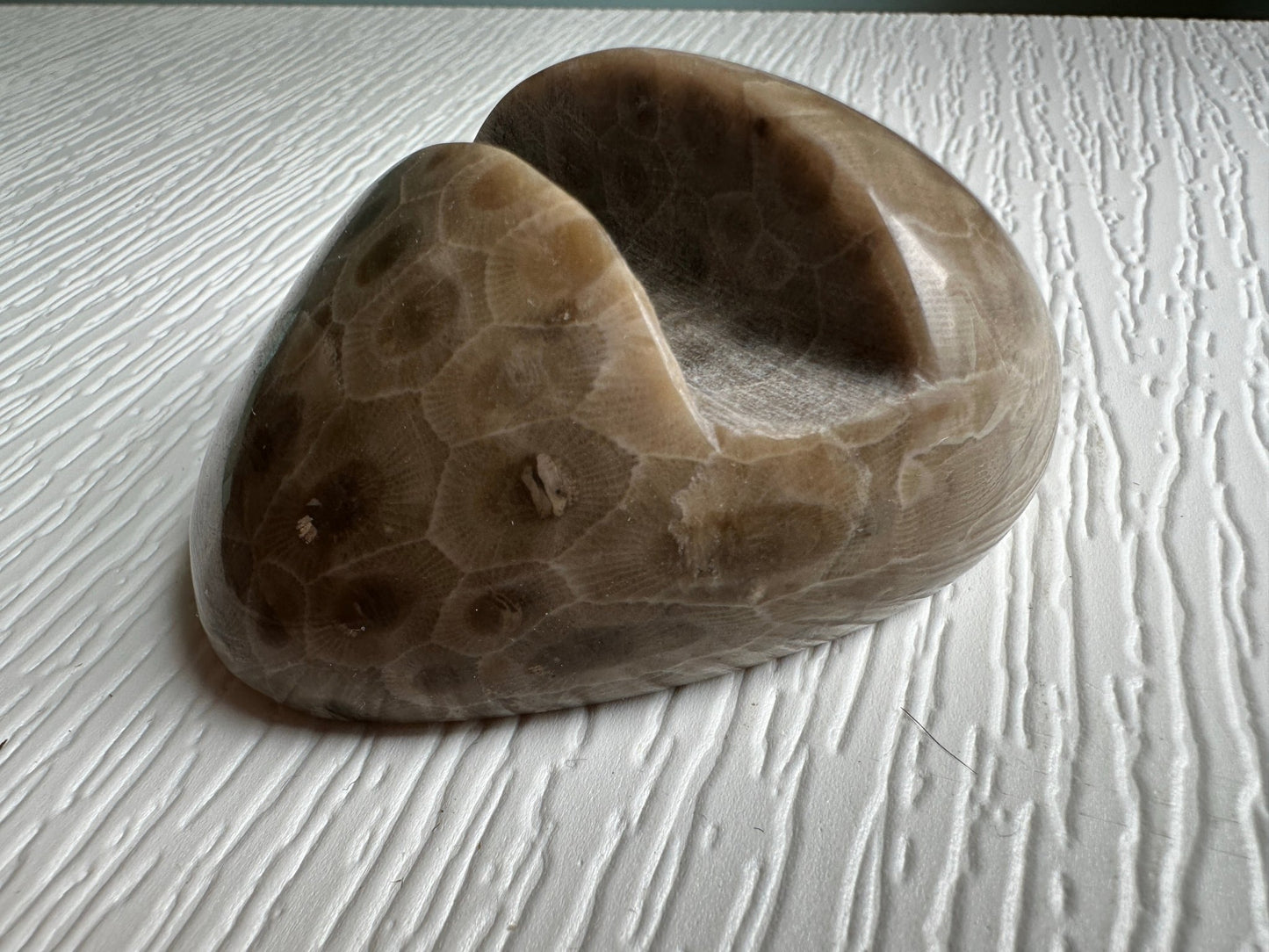 Petoskey Stone - Michigan Natural Stone Phone Holder - Ann Ivory Studios