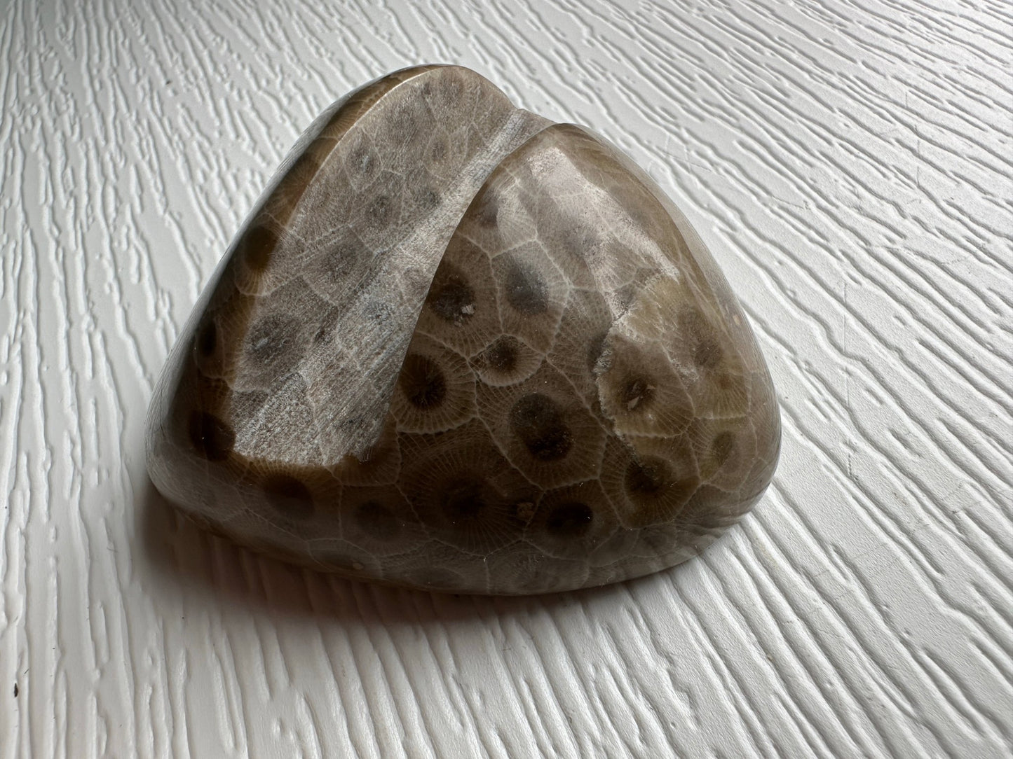 Petoskey Stone - Michigan Natural Stone Phone Holder - Ann Ivory Studios