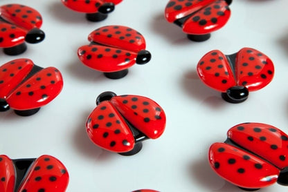 Red Ladybug - Whimsical - Custom Glass Cabinet Knob