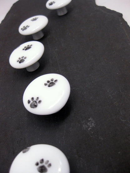 Paw Print - Custom Glass Cabinet Knob - Ann Ivory Studios