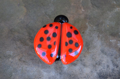 Red Ladybug - Whimsical - Custom Glass Cabinet Knob - Ann Ivory Studios